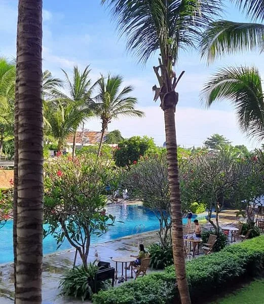 el hotel banyuwangi, el banyuwangi hotel, harga el hotel - Tips agar Perjalanan Anda ke Banyuwangi Lebih Efisien