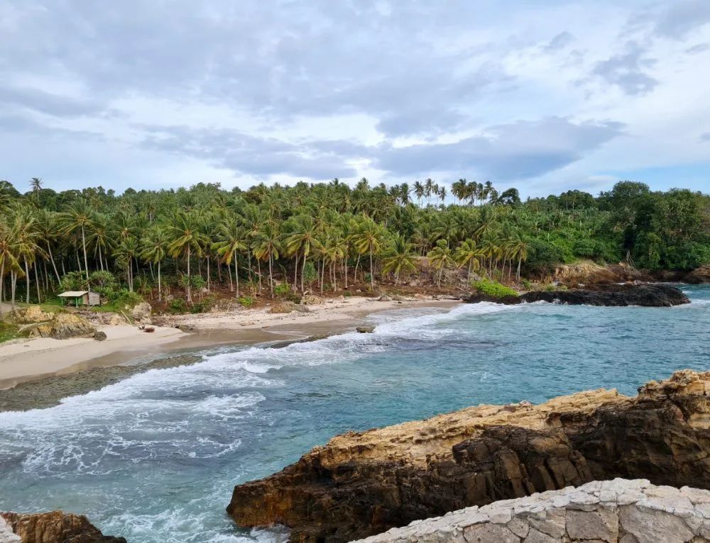 pantai cemara banyuwangi, pantai cemara, hutan cemara: Tiket Pantai Cemara, Akses Lokasi, dan Persiapan Kunjungan