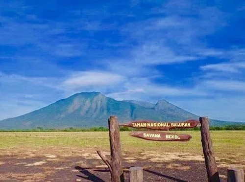 taman nasional baluran banyuwangi, baluran banyuwangi, - Pantai Bama: ketika Savana Bertemu Laut