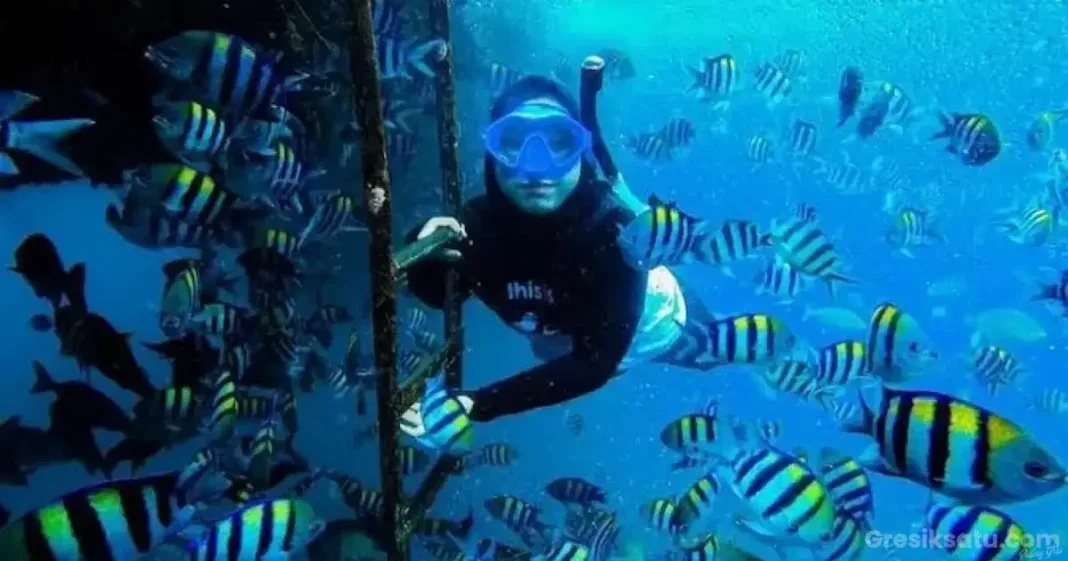 bangsring underwater banyuwangi, bangsring underwater,