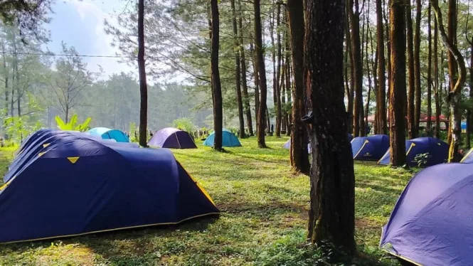wisata pinus camp songgon, pinus camp songgon, camping: Paket Outbound Songgon: Kegiatan yang Menyatukan Keluarga