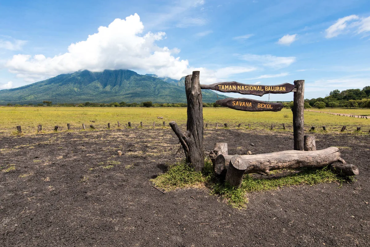 taman nasional baluran banyuwangi, baluran banyuwangi,