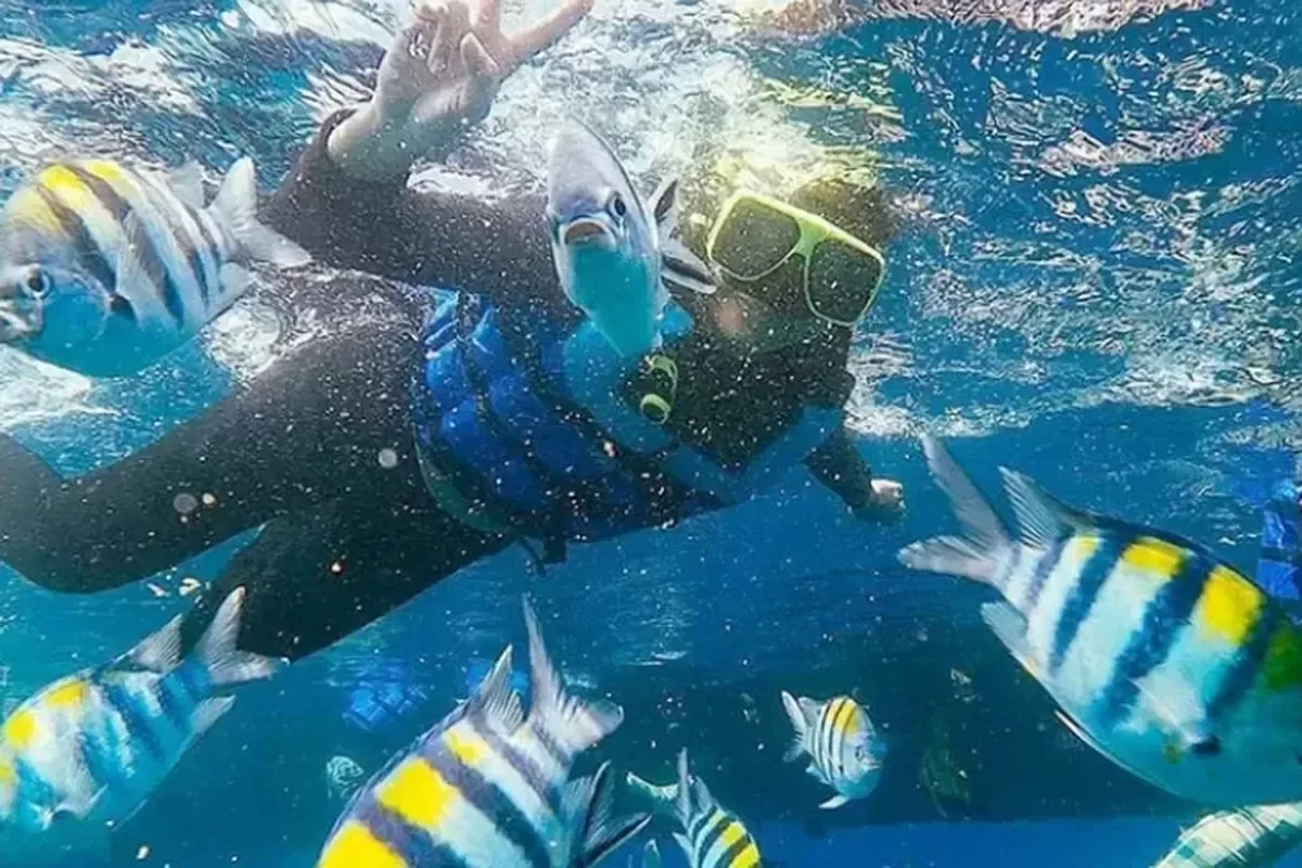 bangsring underwater banyuwangi, bangsring underwater, - Snorkeling Banyuwangi: Menghubungkan Petualangan dengan