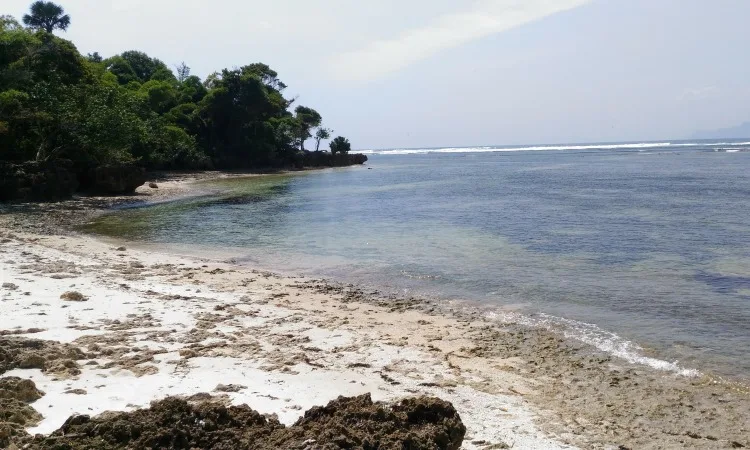 pantai plengkung g land, pantai plengkung banyuwangi, g