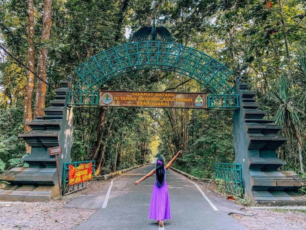 taman nasional alas purwo, alas purwo banyuwangi, wisata: Jalur Wisata dan Rute Menuju Taman Nasional Alas Purwo