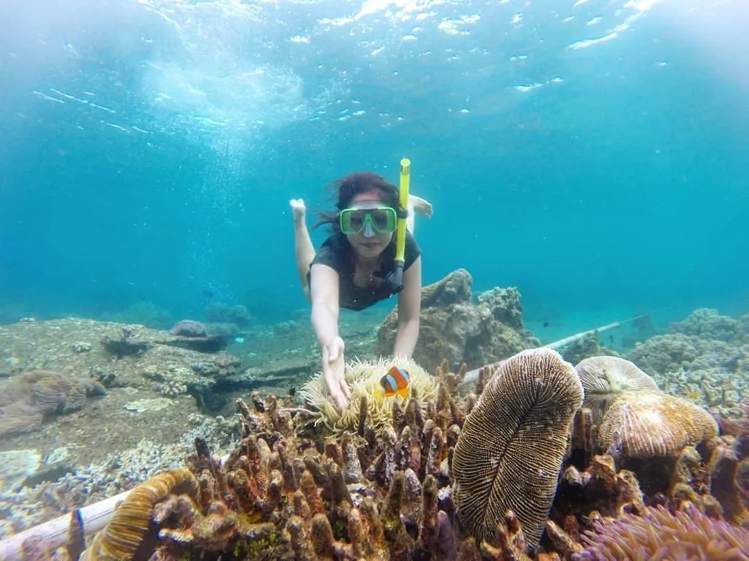 bangsring underwater banyuwangi, bangsring underwater,: Mengapa Wisata Bangsring Banyuwangi Berbeda dari Destinasi