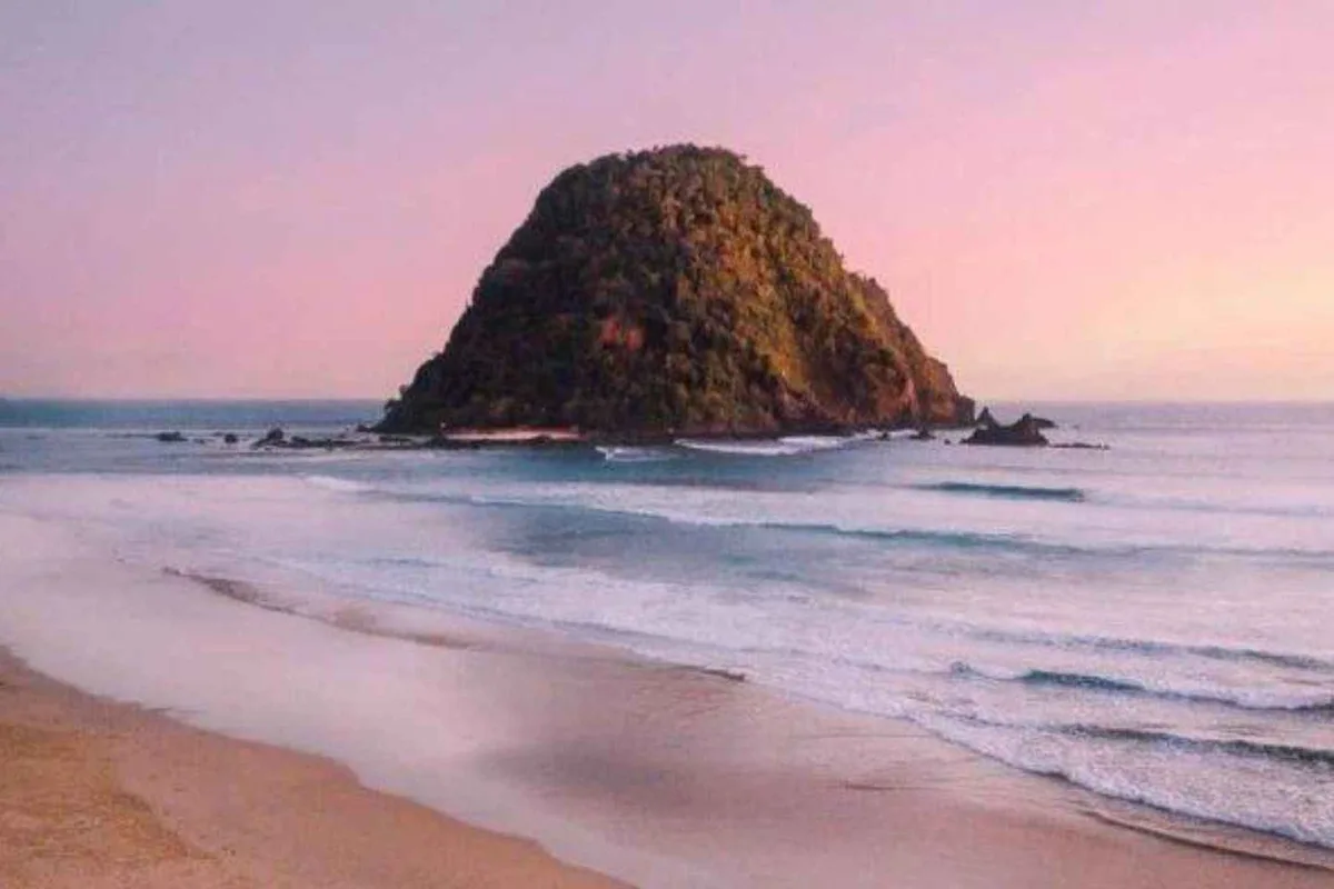 pantai sukamade banyuwangi, pantai sukamade, penyu