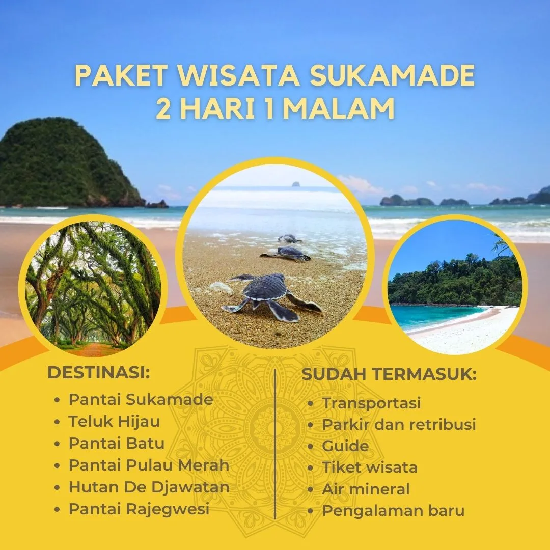 pantai sukamade banyuwangi, pantai sukamade, penyu: Wisata Konservasi Penyu Pantai Sukamade: Petualangan Alam