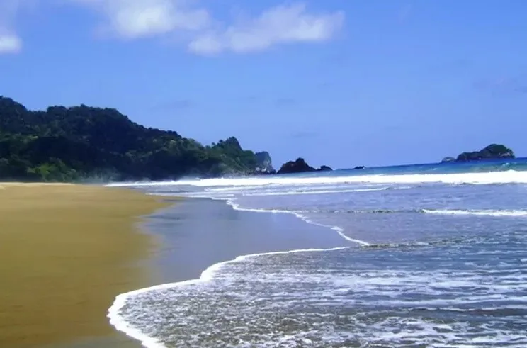 pantai sukamade banyuwangi, pantai sukamade, penyu