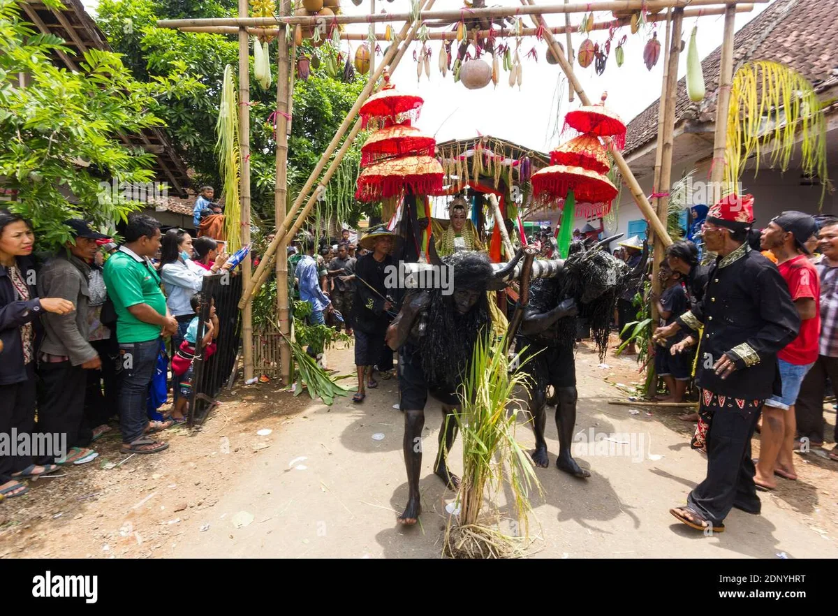 tradisi kebo keboan alasmalang, kebo keboan banyuwangi,: Tantangan dan Upaya Pelestarian Tradisi Kebo Keboan