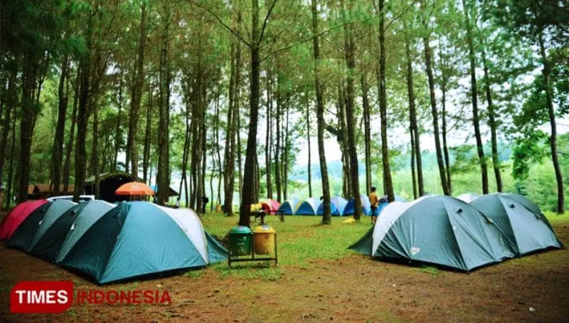 wisata pinus camp songgon, pinus camp songgon, camping - Pilihan Paket dan Cara Menyesuaikan dengan Kebutuhan