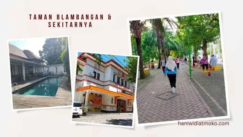 taman blambangan banyuwangi, taman blambangan, alun alun - Kesalahan yang Sering Dilakukan Pengunjung dan Cara