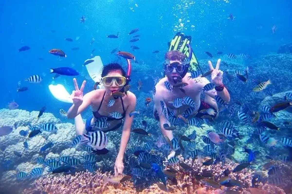 pulau tabuhan banyuwangi, pulau tabuhan, tabuhan island,: Merawat Surga Bahari Pulau Tabuhan Banyuwangi untuk Generasi