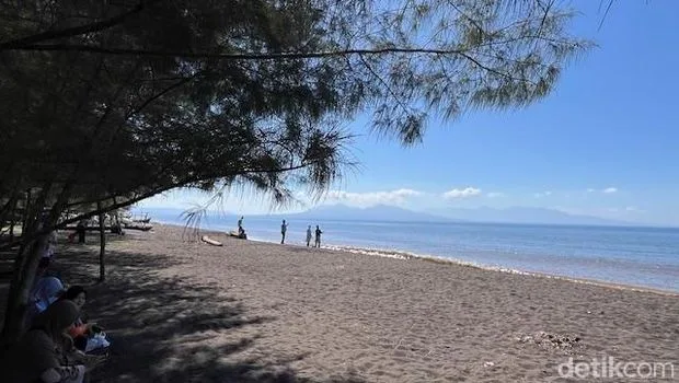 pantai cemara banyuwangi, pantai cemara, hutan cemara