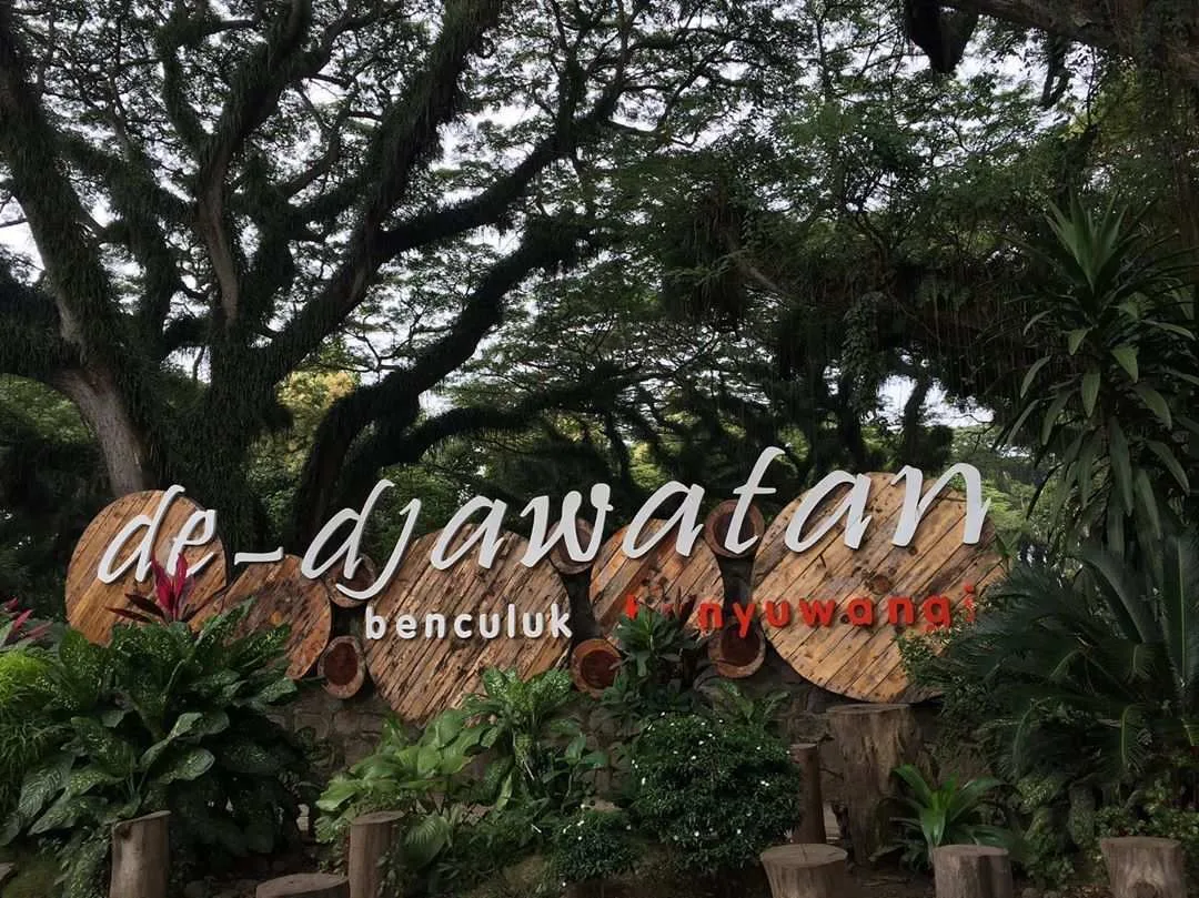 de djawatan benculuk, de djawatan banyuwangi, hutan - Mengapa De Djawatan Benculuk Disebut Hutan Lord of the Rings