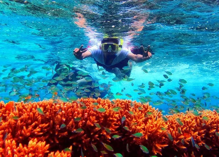 pulau tabuhan banyuwangi, pulau tabuhan, tabuhan island,: Aktivitas Snorkeling Pulau Tabuhan dan Wisata Air Lainnya