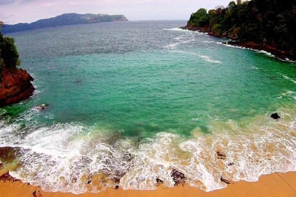 pantai sukamade banyuwangi, pantai sukamade, penyu - Menikmati Sukamade dengan Cara yang Tepat