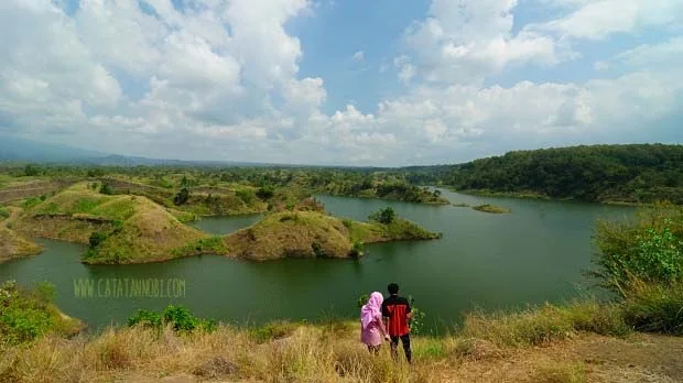 kecamatan wongsorejo banyuwangi, kecamatan wongsorejo,: Peluang Usaha yang Bisa Dikembangkan di Kecamatan Wongsorejo