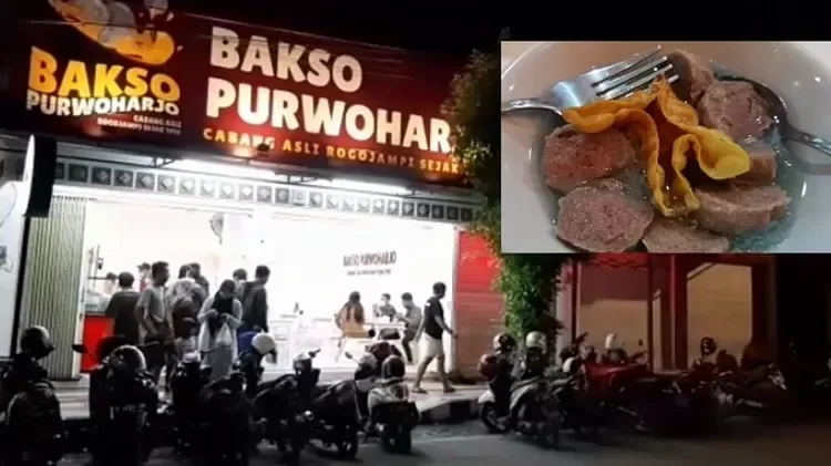 bakso rogojampi banyuwangi, bakso rogojampi, kuliner - Kenapa Bakso Rogojampi Banyuwangi Layak Jadi Tujuan Kuliner