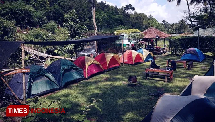 wisata pinus camp songgon, pinus camp songgon, camping
