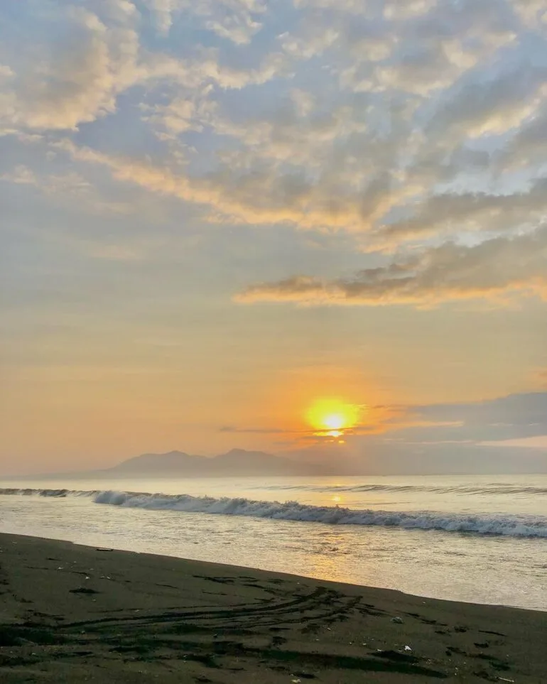 pantai cemara banyuwangi, pantai cemara, hutan cemara