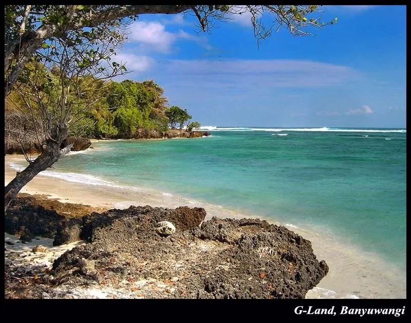 pantai plengkung g land, pantai plengkung banyuwangi, g: Mengapa Pantai Plengkung G Land Disebut Ombak Terbaik Dunia