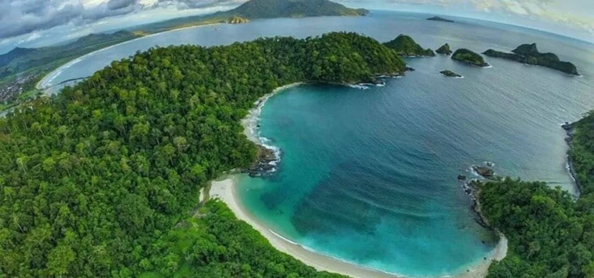 pantai sukamade banyuwangi, pantai sukamade, penyu