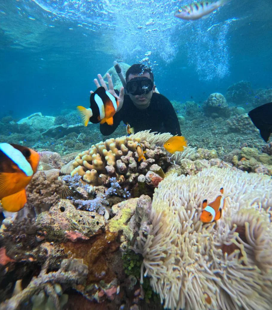 bangsring underwater banyuwangi, bangsring underwater,: Rumah Apung Bangsring: Ikon Wisata yang Ramah Lingkungan