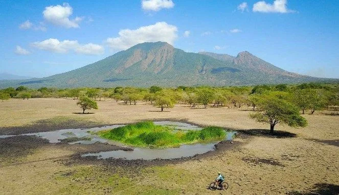 taman nasional baluran banyuwangi, baluran banyuwangi,