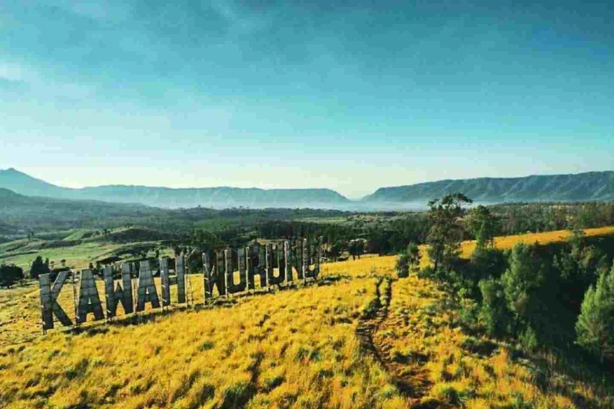 kawah wurung banyuwangi, kawah wurung, wisata kawah wurung,: Aktivitas yang Bisa Dilakukan di Bukit Teletubbies