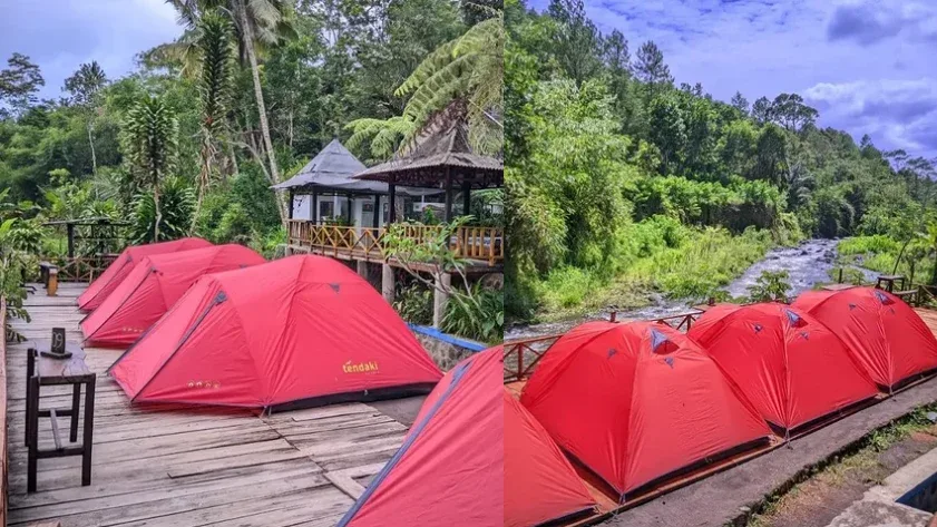 wisata pinus camp songgon, pinus camp songgon, camping: Camping Asri di Hutan Pinus Songgon Banyuwangi: Fasilitas