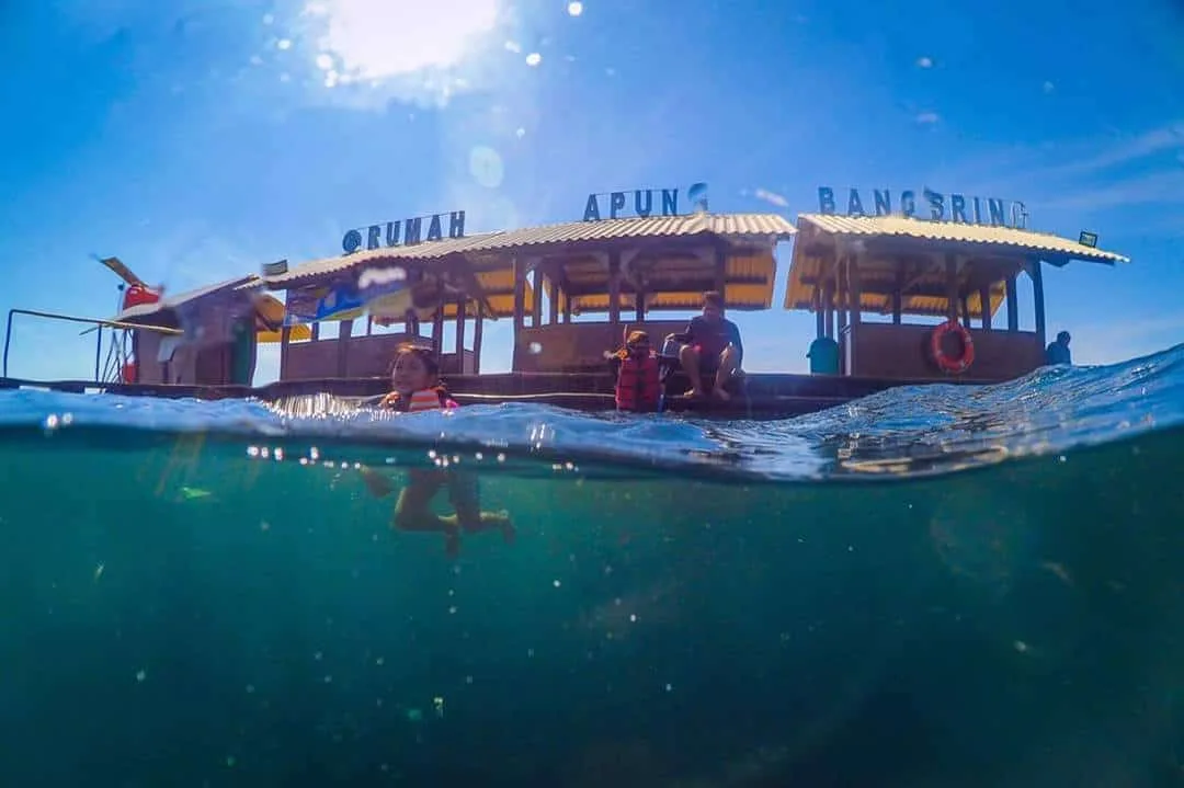 bangsring underwater banyuwangi, bangsring underwater,: Bangsring Underwater Banyuwangi: Gerbang Snorkeling Rumah