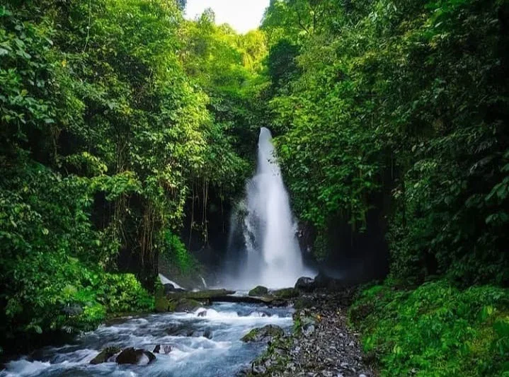 air terjun telunjuk raung, air terjun songgon, wisata