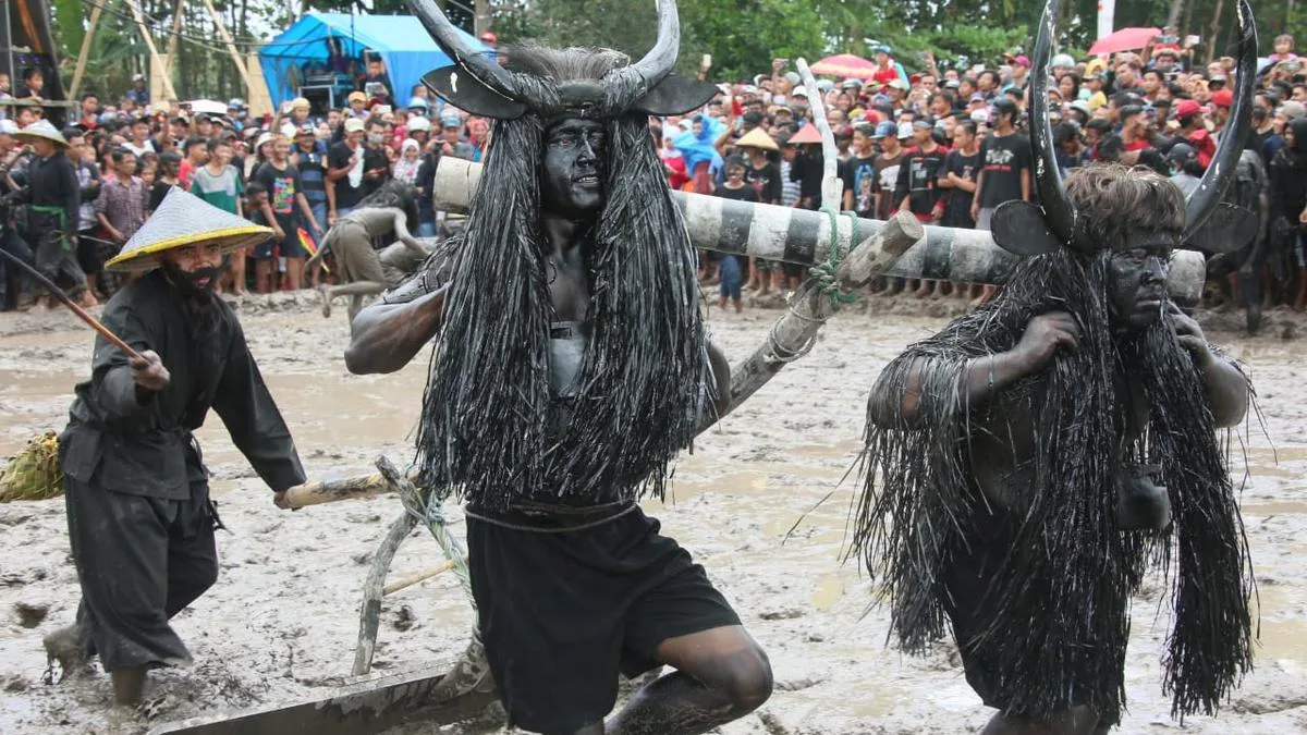 tradisi kebo keboan alasmalang, kebo keboan banyuwangi,: Keunikan Tradisi Kebo-Keboan Alasmalang Banyuwangi: Wujud