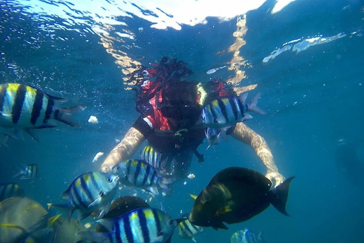 bangsring underwater banyuwangi, bangsring underwater,