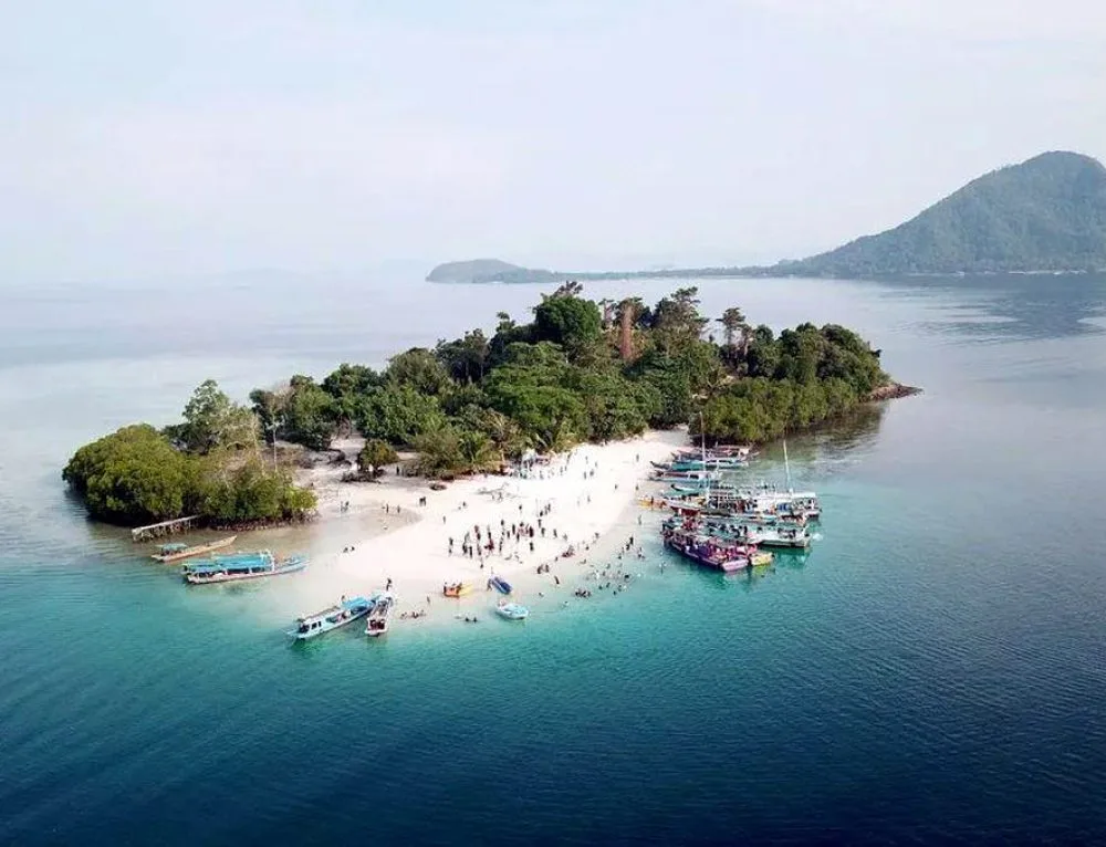 pantai cemara banyuwangi, pantai cemara, hutan cemara: Etika Berkunjung ke Area Konservasi Penyu