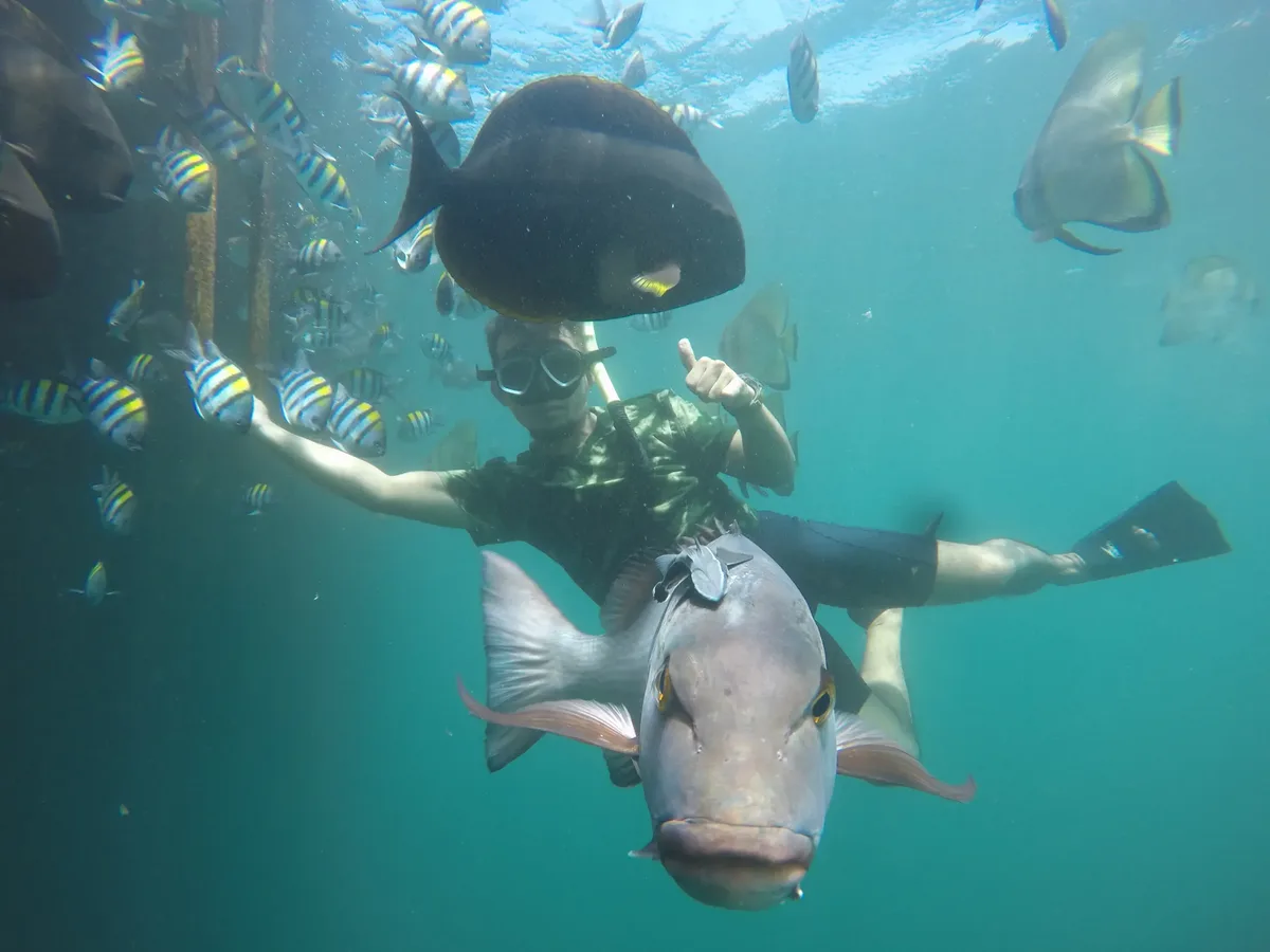 bangsring underwater banyuwangi, bangsring underwater,