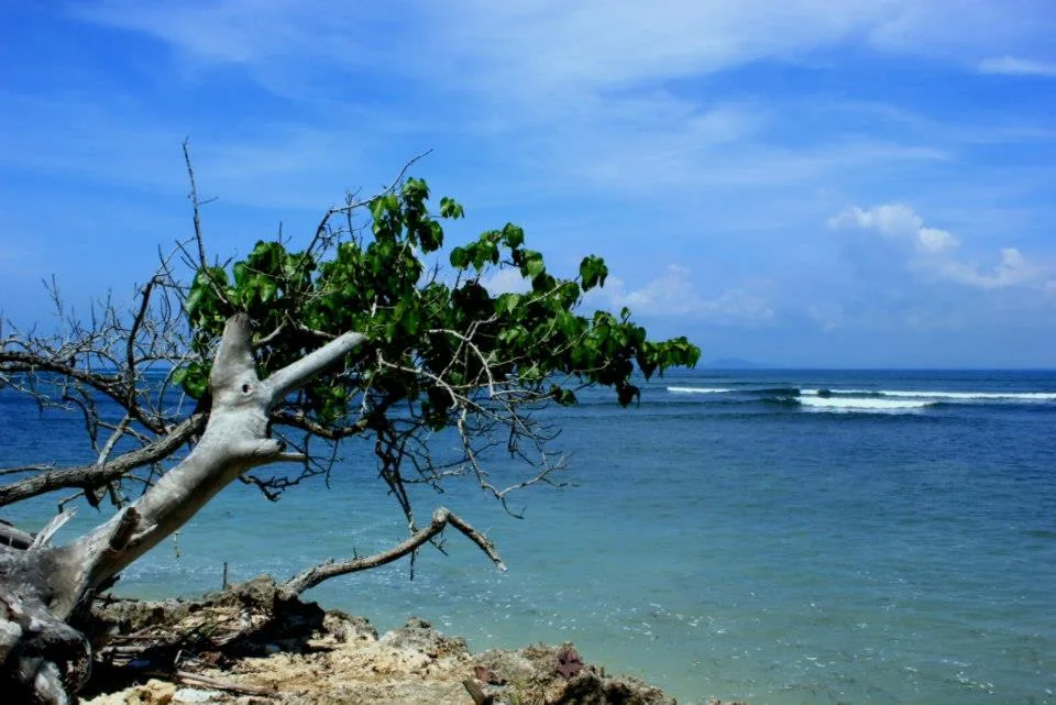 pantai plengkung g land, pantai plengkung banyuwangi, g