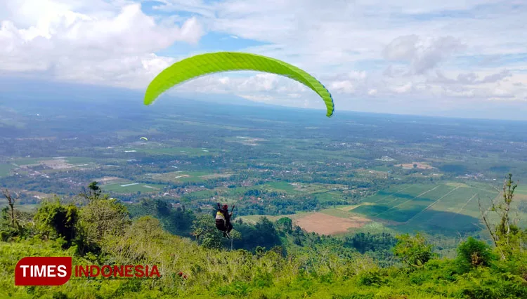 kecamatan kalibaru banyuwangi, kecamatan kalibaru, kalibaru: Sejuknya Kecamatan Kalibaru Banyuwangi: Wisata Perkebunan