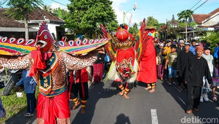 barong ider bumi kemiren, barong ider bumi, desa adat: Panduan Menyaksikan Barong Ider Bumi Kemiren untuk Wisatawan