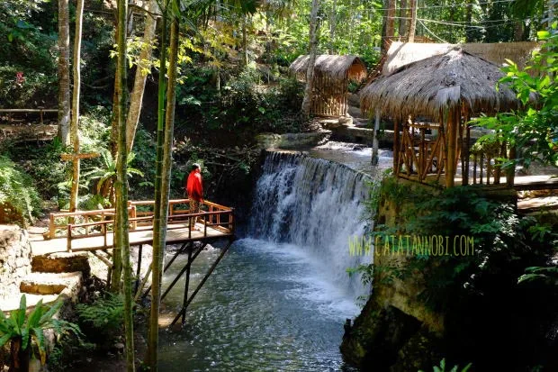 kecamatan kalibaru banyuwangi, kecamatan kalibaru, kalibaru