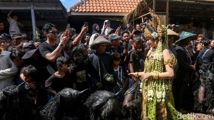 tradisi kebo keboan alasmalang, kebo keboan banyuwangi,