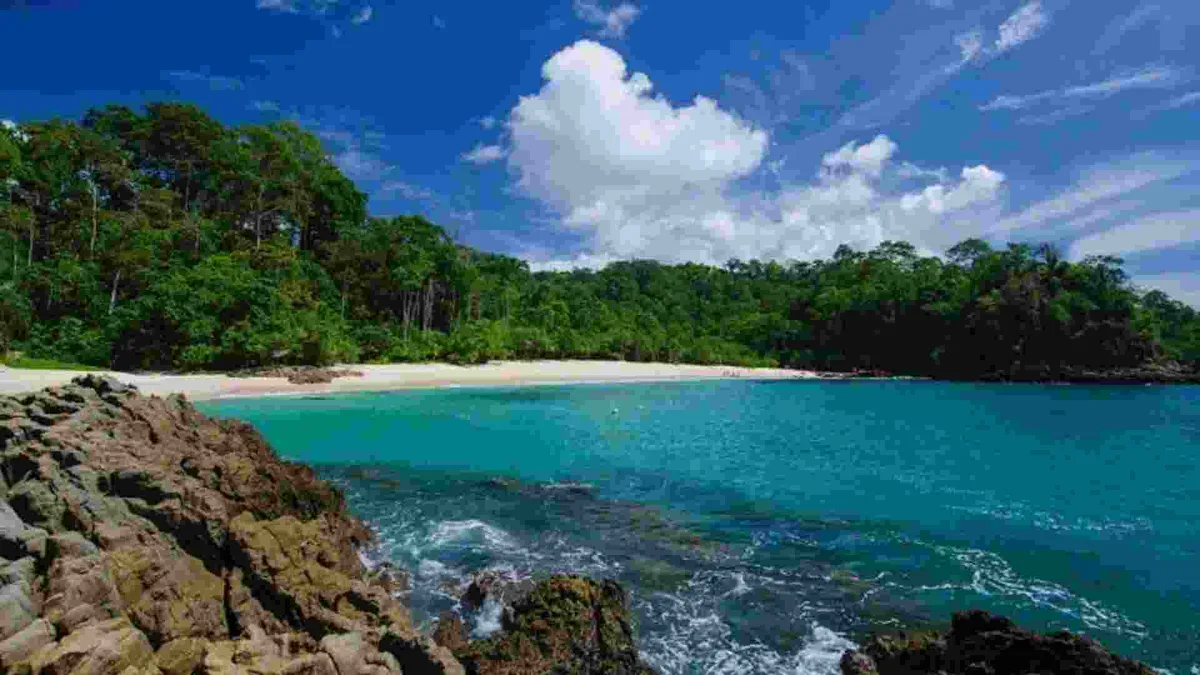 teluk hijau banyuwangi, green island banyuwangi, teluk ijo: Apa Itu Teluk Hijau Banyuwangi dan Mengapa Disebut Green