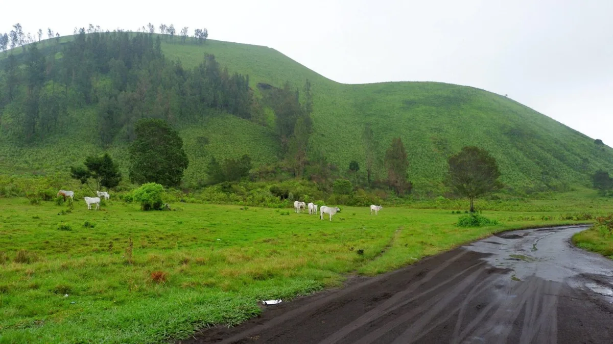 kawah wurung banyuwangi, kawah wurung, wisata kawah wurung,