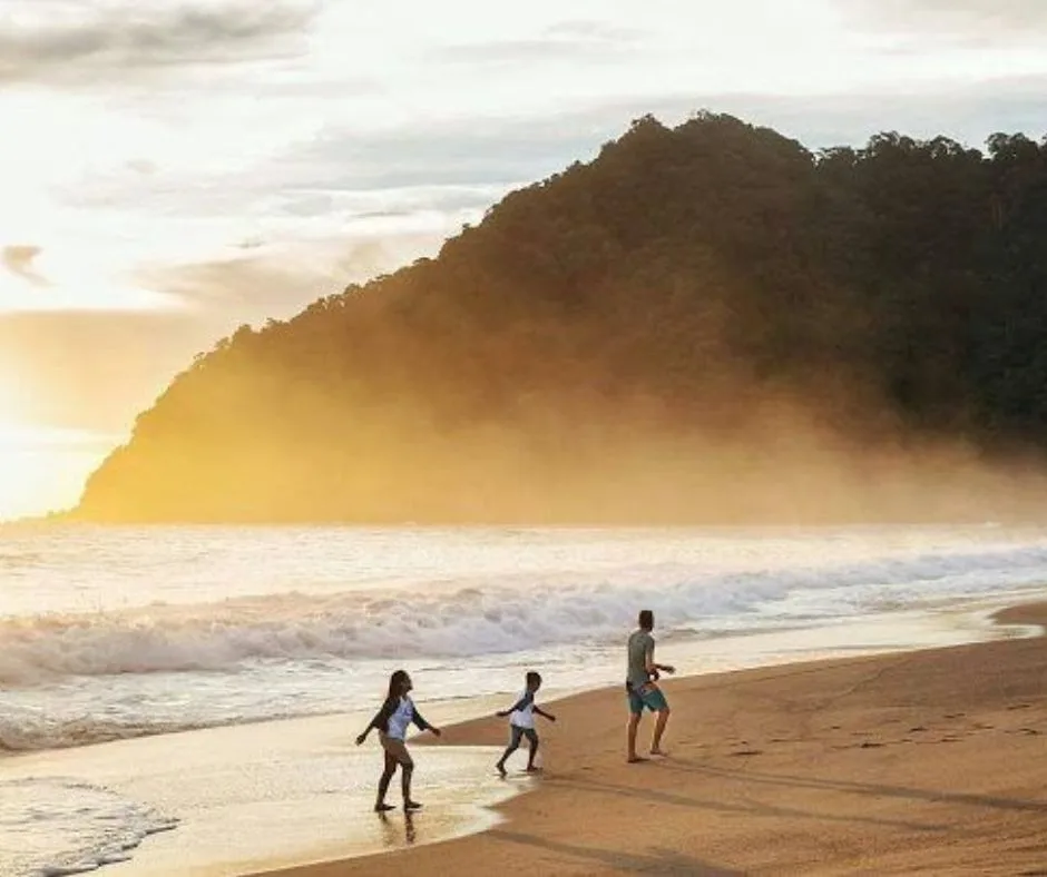 pantai sukamade banyuwangi, pantai sukamade, penyu