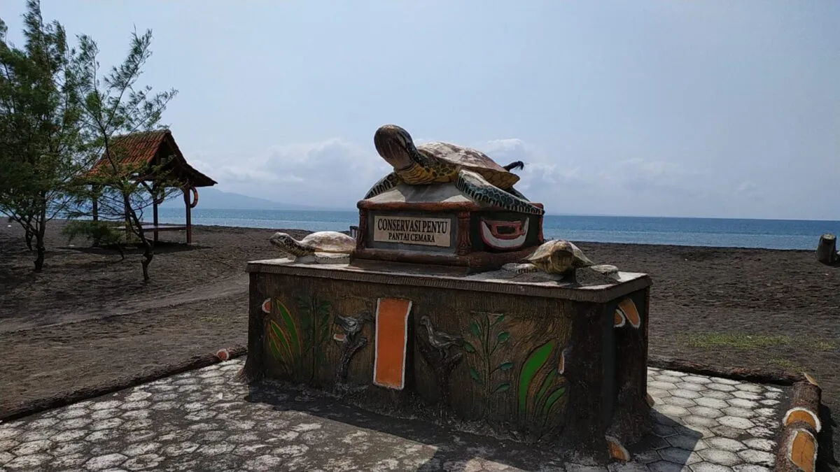 pantai cemara banyuwangi, pantai cemara, hutan cemara - Aktivitas yang Bisa Dilakukan di Pantai Cemara