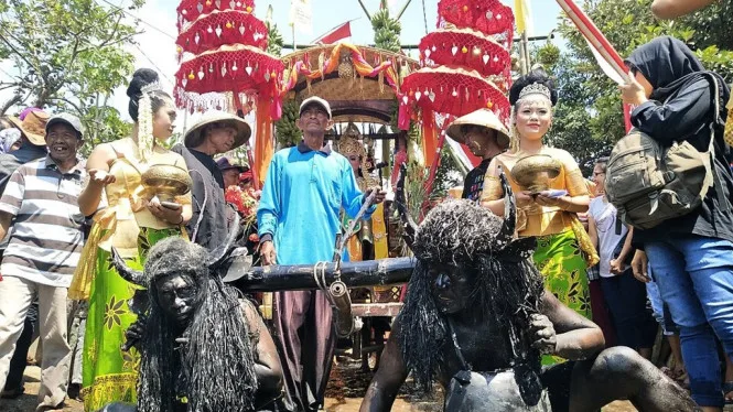 tradisi kebo keboan alasmalang, kebo keboan banyuwangi,