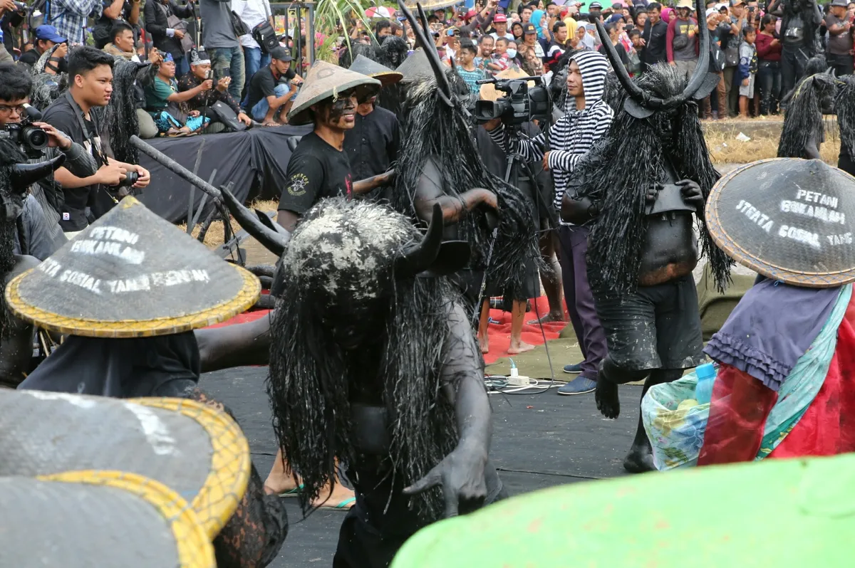 tradisi kebo keboan alasmalang, kebo keboan banyuwangi, - Kesalahan yang Sering Dilakukan Pengunjung dan Penulis