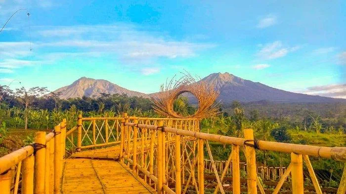 agrowisata tamansuruh banyuwangi, agrowisata tamansuruh,