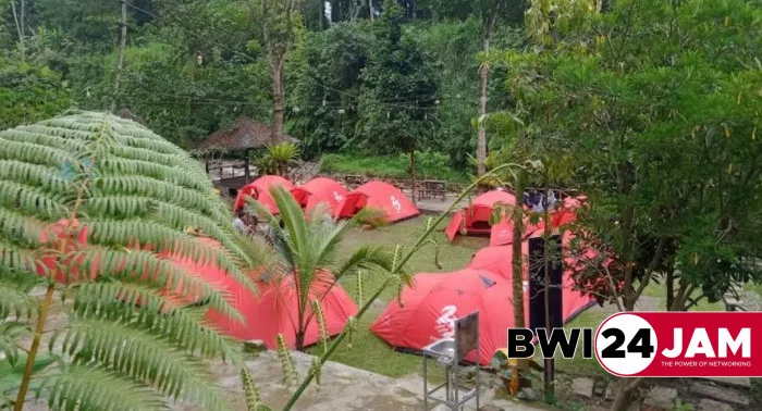 wisata pinus camp songgon, pinus camp songgon, camping